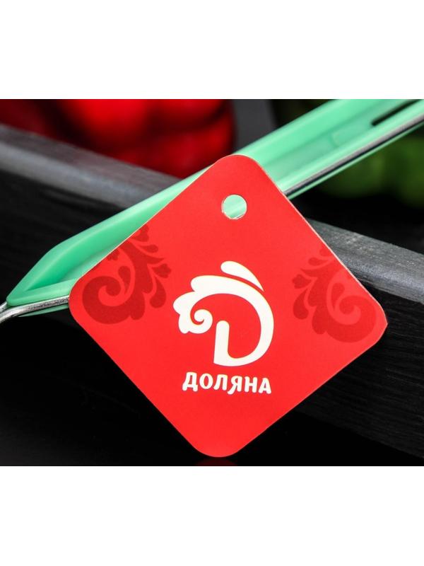 Сито с ручкой Доляна «Хозяюшка», d=8,5 см, цвет зелёный