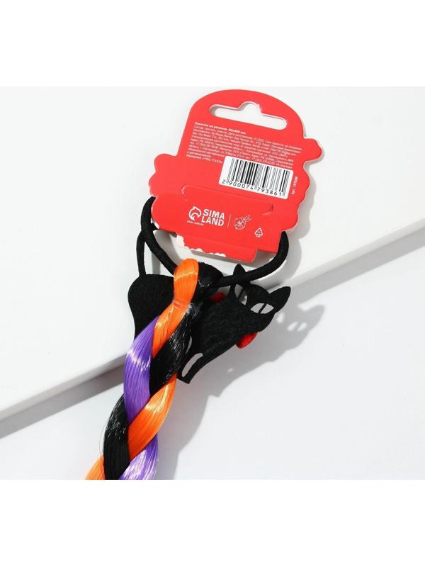 Цветная прядь-косичка на резинке «Для котика и девять жизней не жалко», 40 см