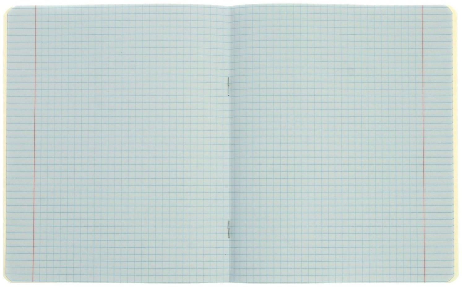 Тетрадь 18 листов в клетку LOLLIPOP, обложка мелованная бумага, ВД-лак / 10 шт.