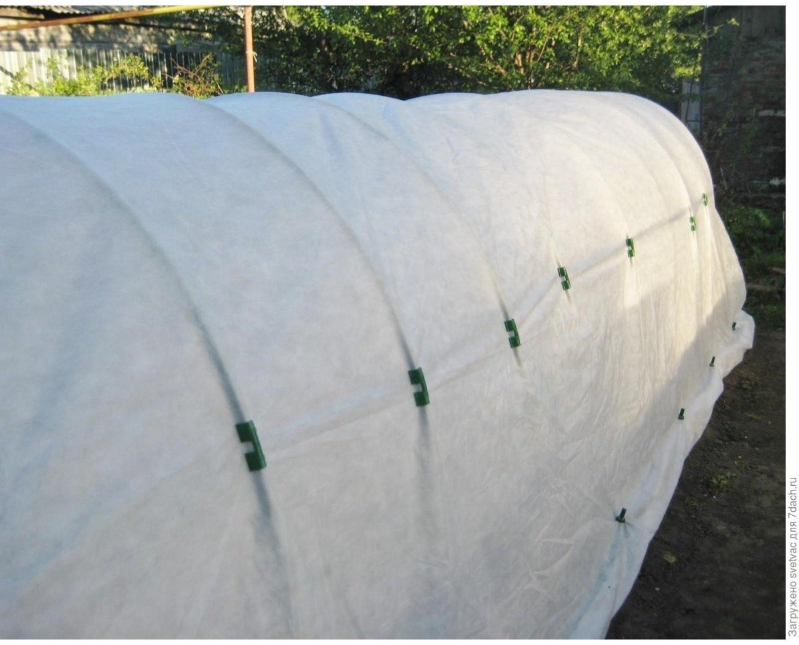 Зажим для крепления укрывного материала, d = 10 мм, набор 10 шт., Greengo