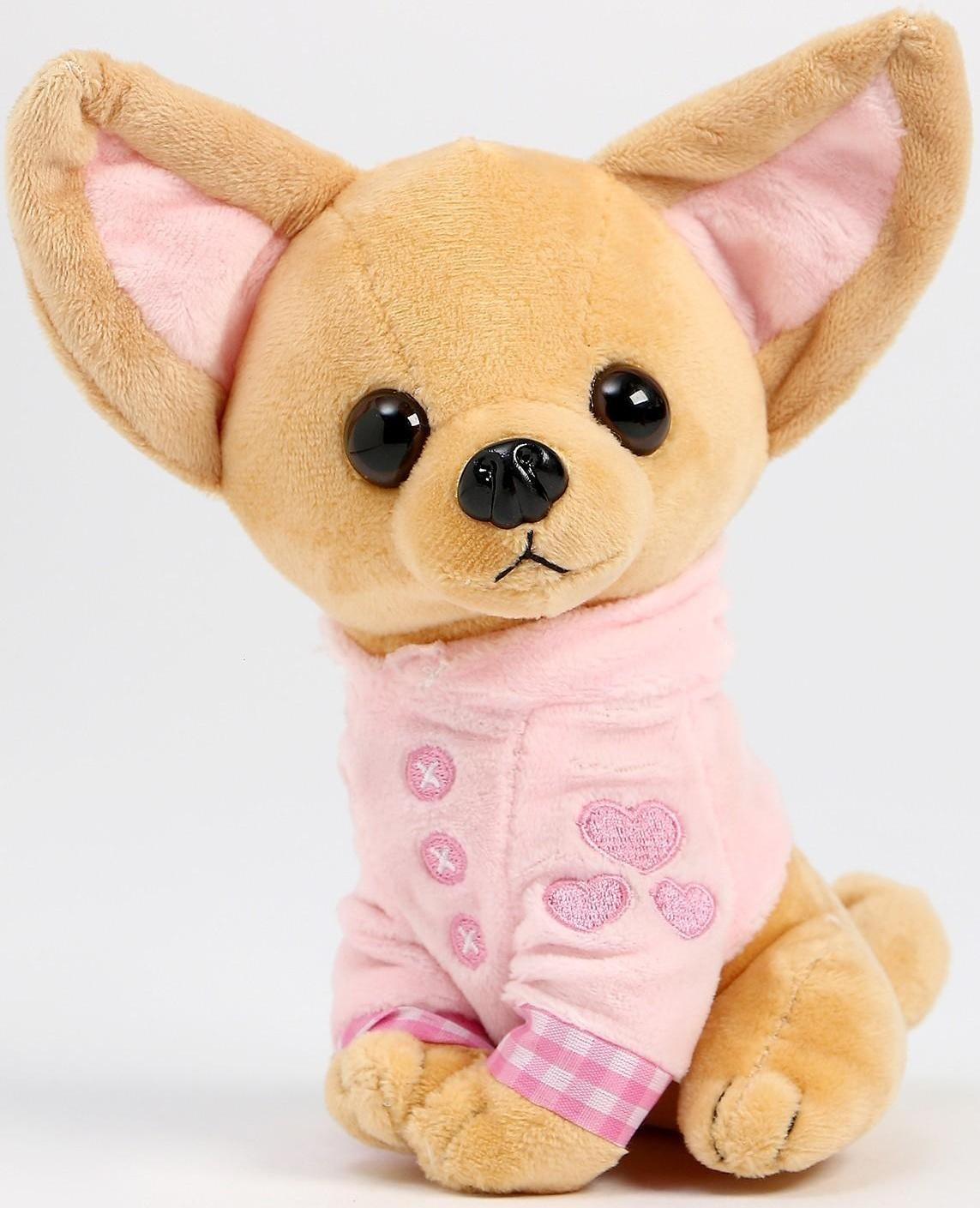 Мягкая игрушка «Чихуахуа», цвета МИКС