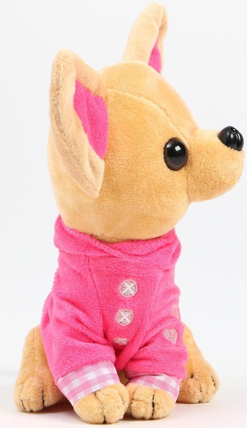 Мягкая игрушка «Чихуахуа», цвета МИКС