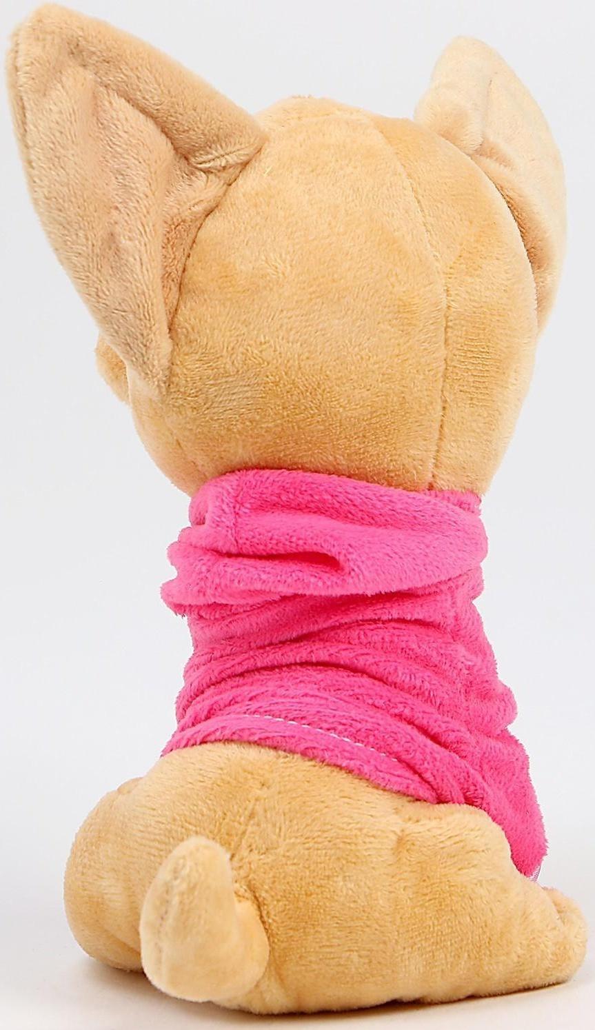 Мягкая игрушка «Чихуахуа», цвета МИКС