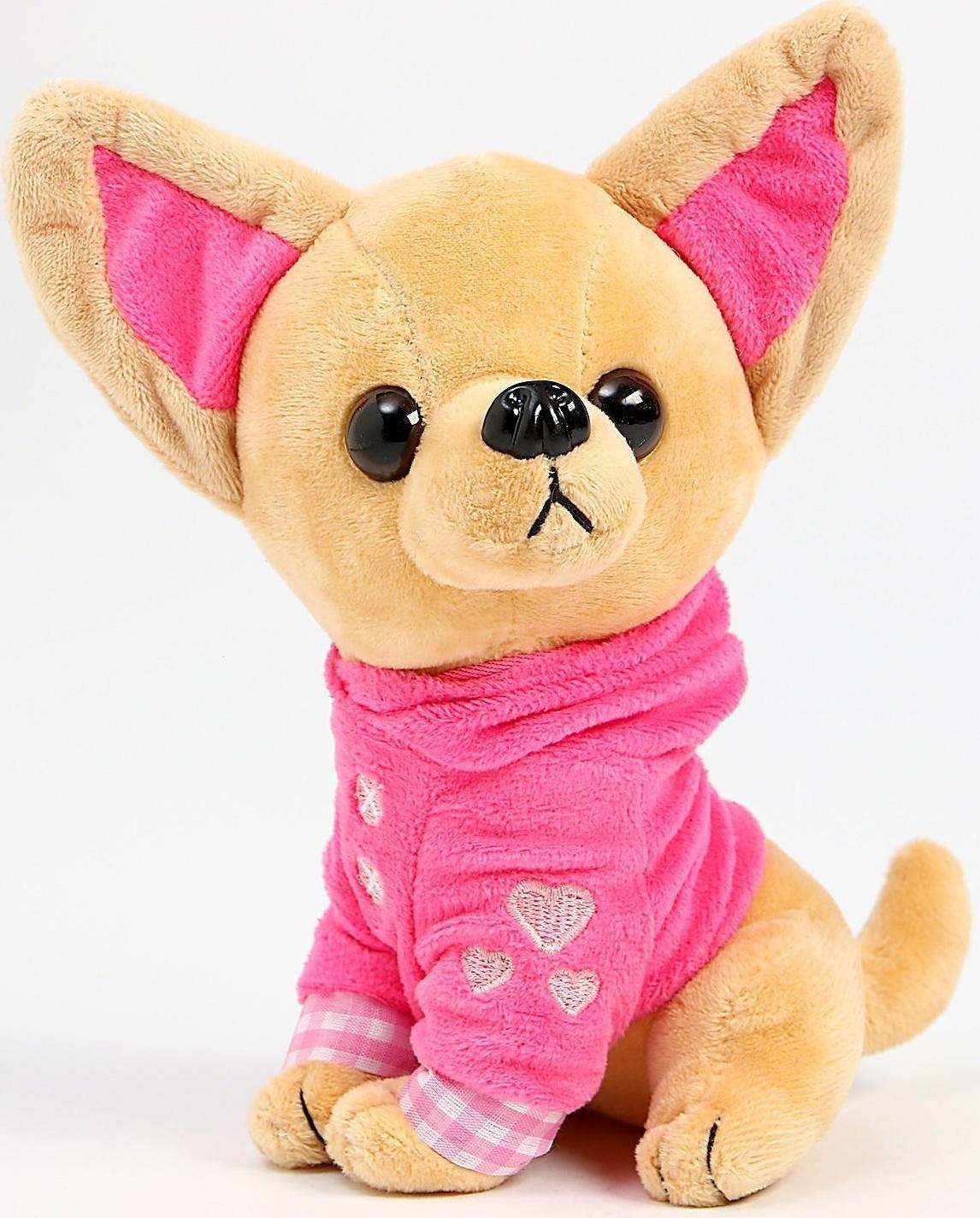 Мягкая игрушка «Чихуахуа», цвета МИКС