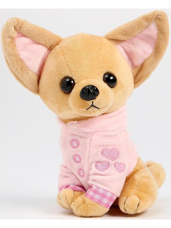 Мягкая игрушка «Чихуахуа», цвета МИКС