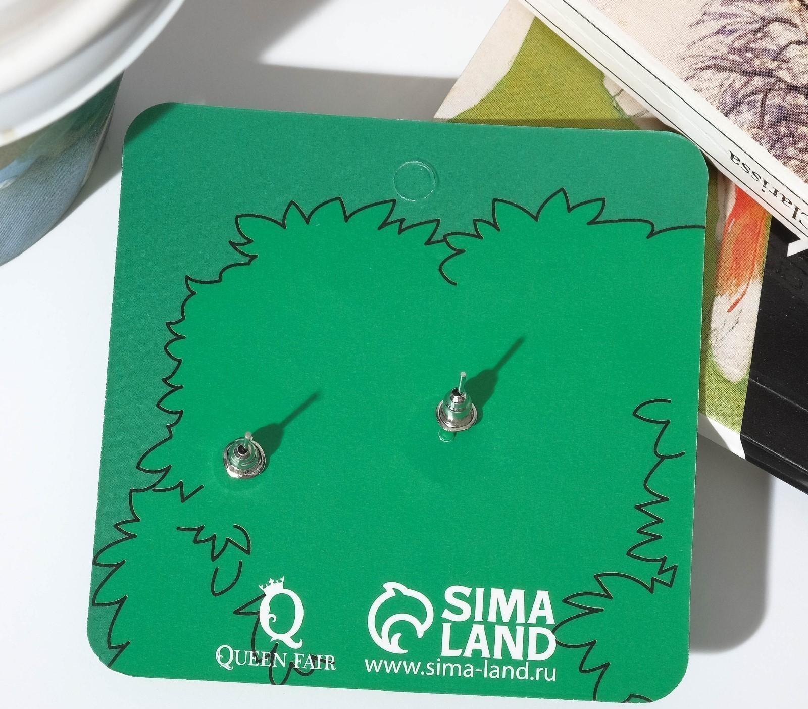 Серьги пластик 