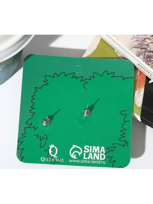 Серьги пластик 