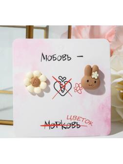 Серьги пластик 