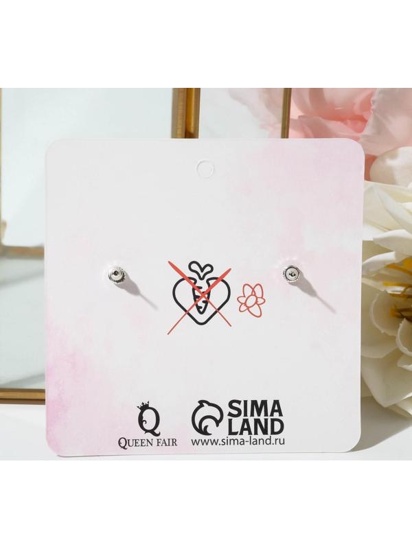 Серьги пластик 