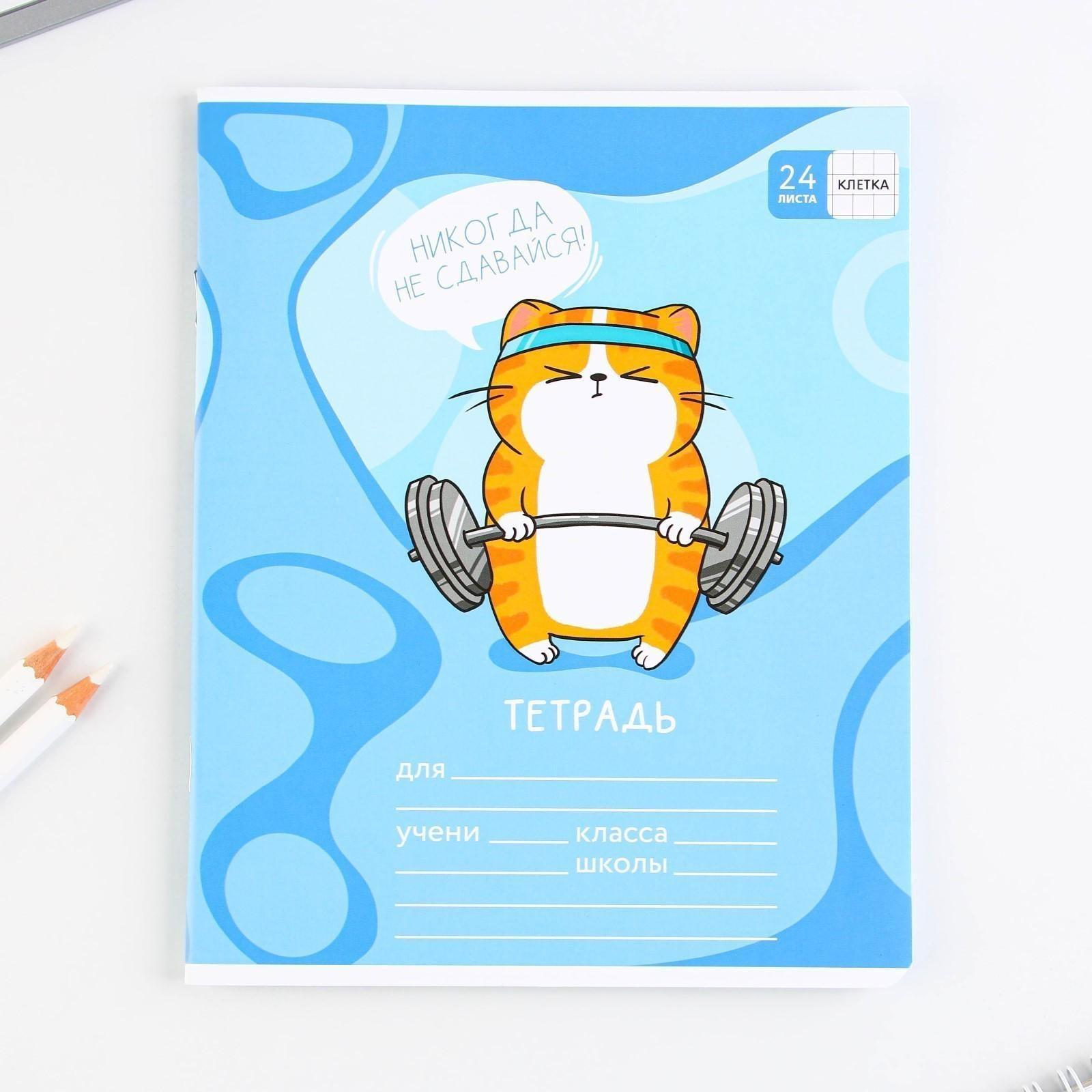 Тетрадь А5, 24 листа на скрепке в клетку «Котэ», 5 видов МИКС, белизна 96% / Микс 1 шт.