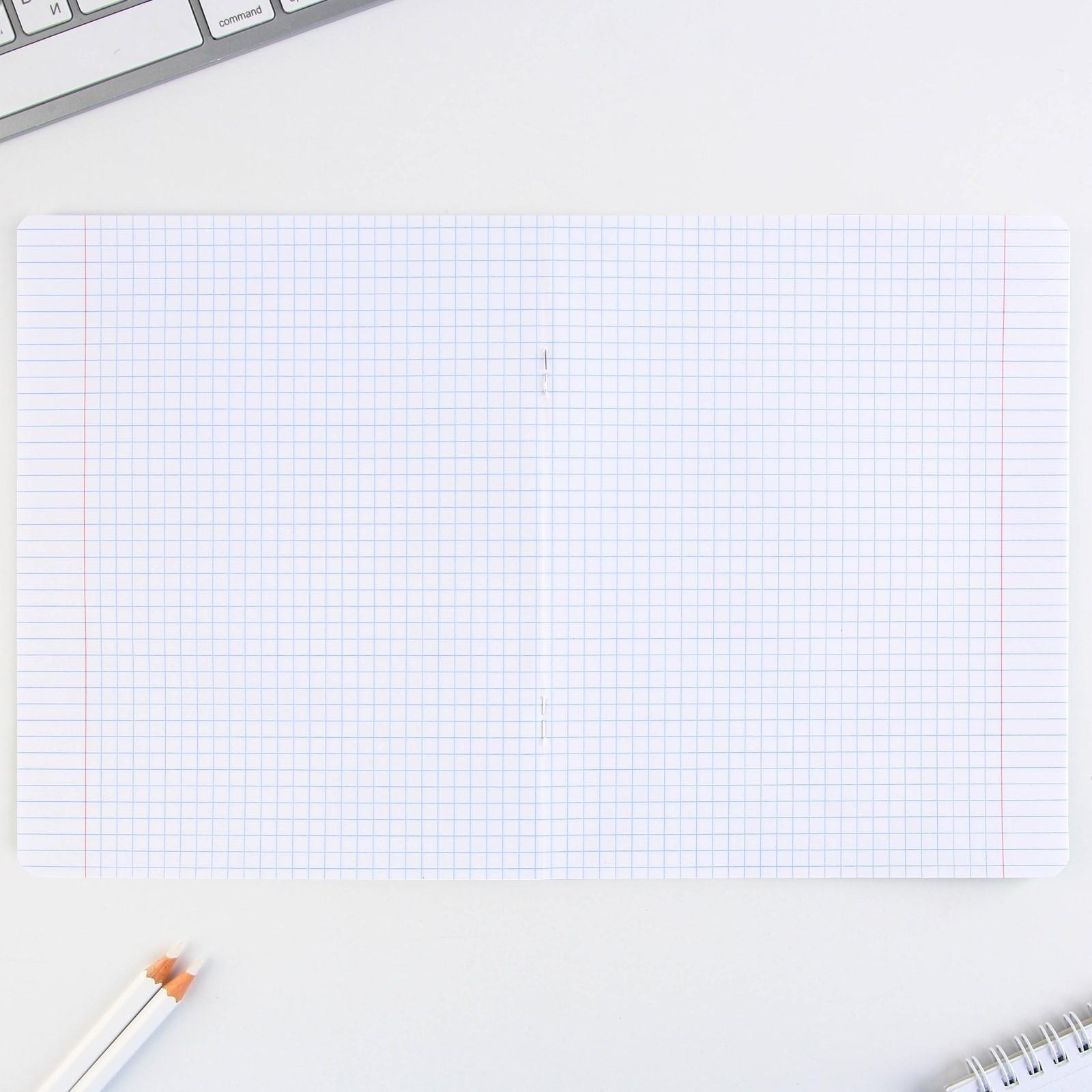 Тетрадь А5, 24 листа на скрепке в клетку «Котэ», 5 видов МИКС, белизна 96% / Микс 1 шт.