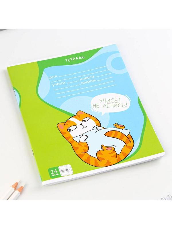 Тетрадь А5, 24 листа на скрепке в клетку «Котэ», 5 видов МИКС, белизна 96% / Микс 1 шт.