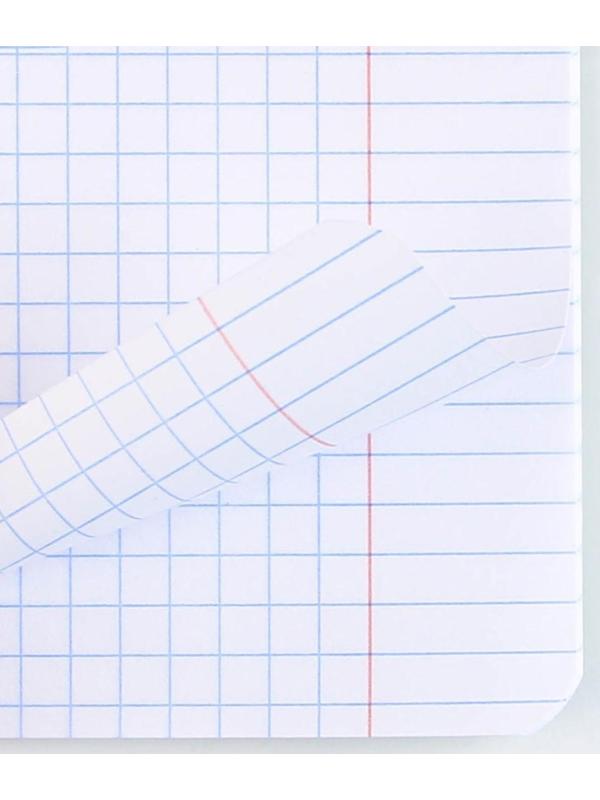 Тетрадь А5, 24 листа на скрепке в клетку «Котэ», 5 видов МИКС, белизна 96% / Микс 1 шт.