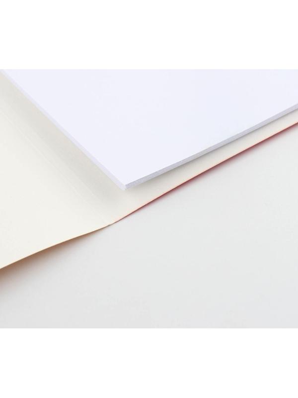 Бумага для черчения А3, 20 листов, без рамки, белизна 100%, 200 г/м², в папке.