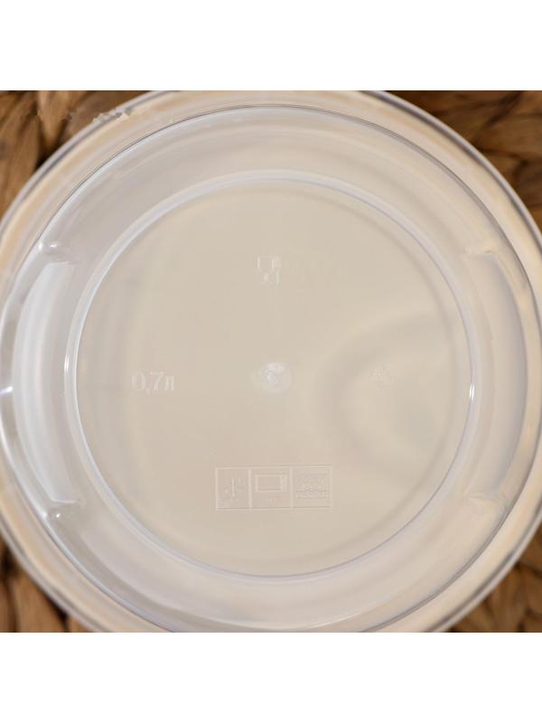 Набор банок для хранения продуктов с крышкой «Фиджи», 2 шт: 0,7 л, 1 л