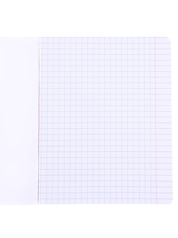 Тетради 12 листов, 5 видов, мелованная бумага, крупная клетка, Минни Маус / Микс 10 шт.