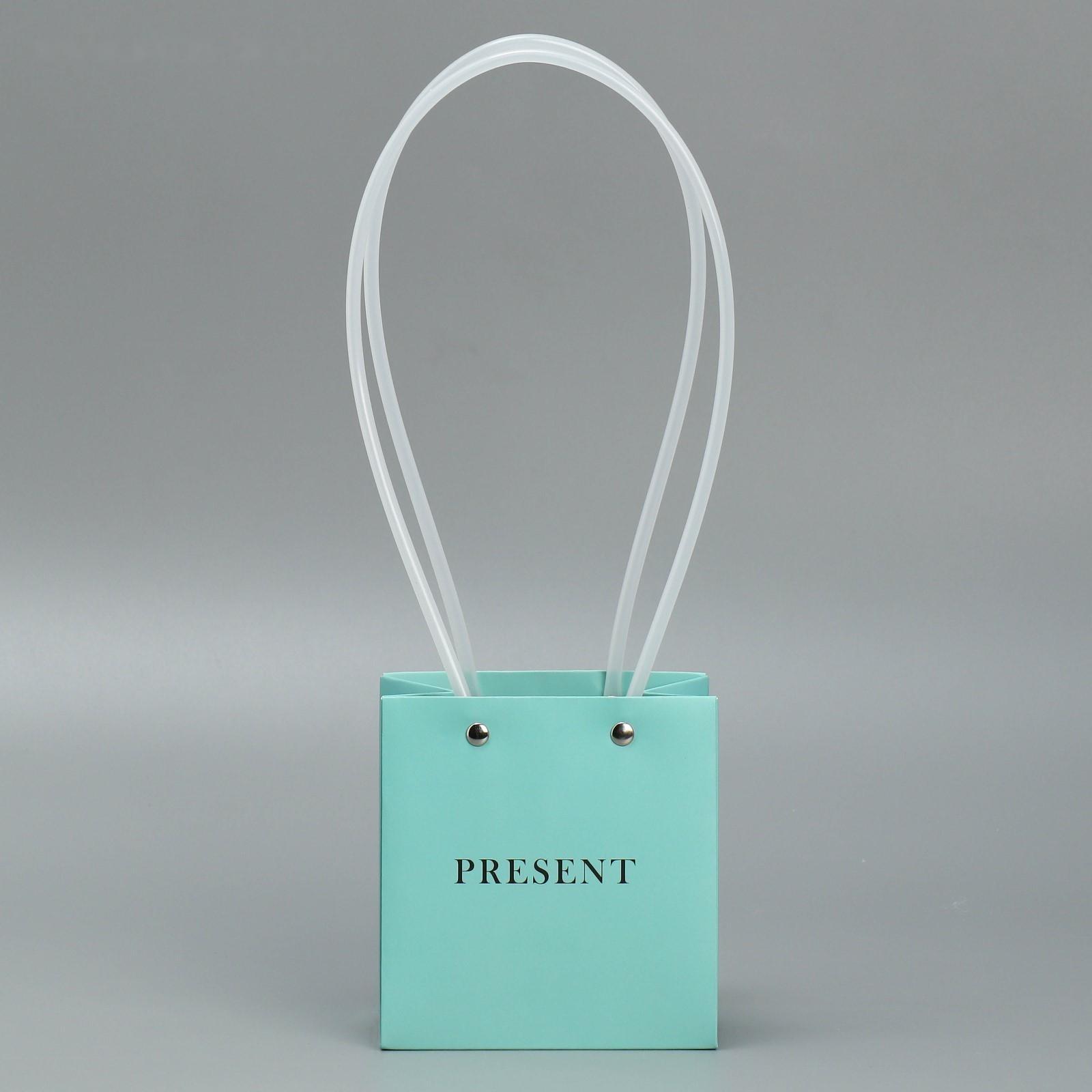 Пакет для цветов Gift, 11.5 х 12 х 8 см