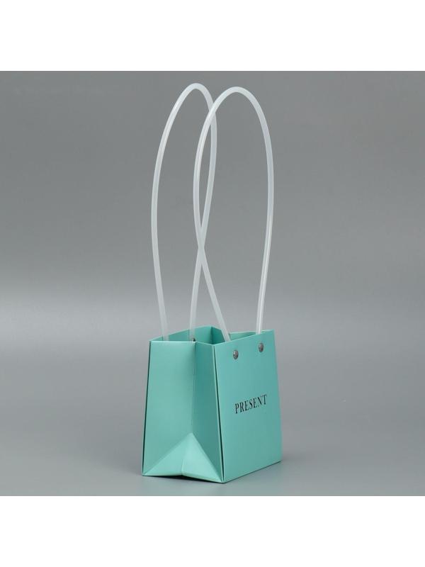 Пакет для цветов Gift, 11.5 х 12 х 8 см