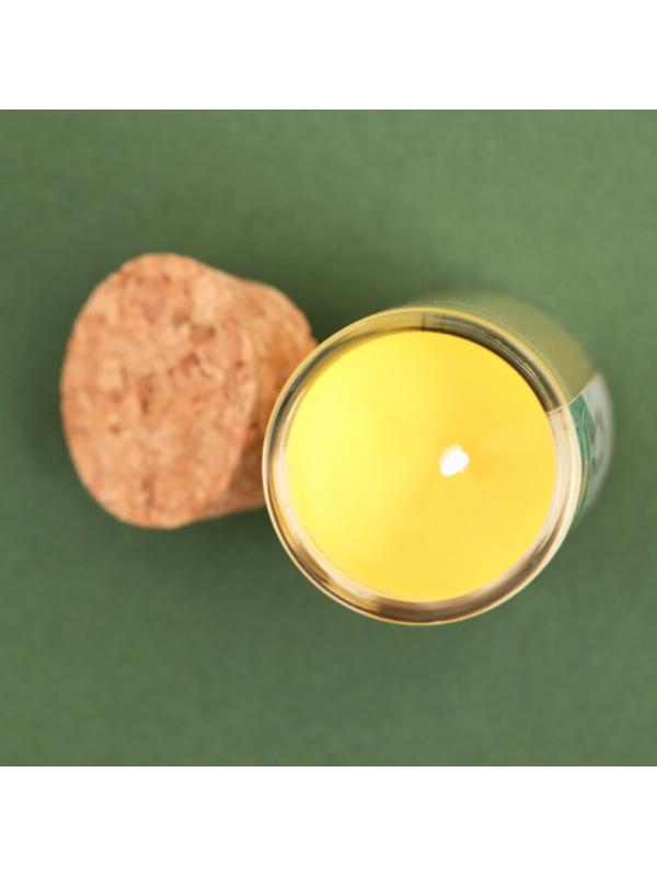 Новогодняя свеча в колбе «Счастья», миндаль, высота 8 см