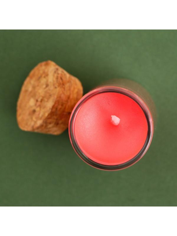 Новогодняя свеча в колбе «Дед Мороз», корица, высота 8 см