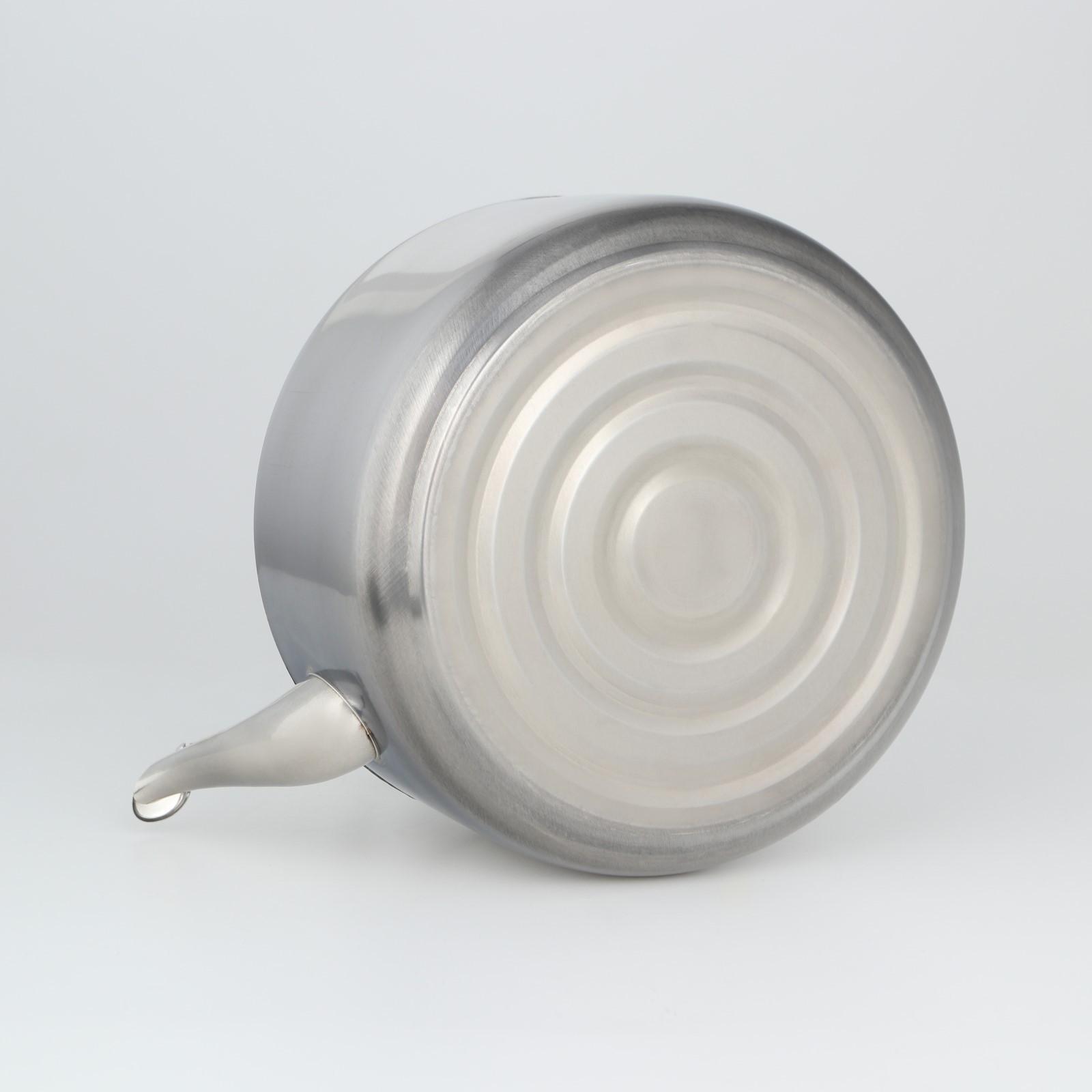 Чайник из нержавеющей стали, 6 л, цвет хромированный