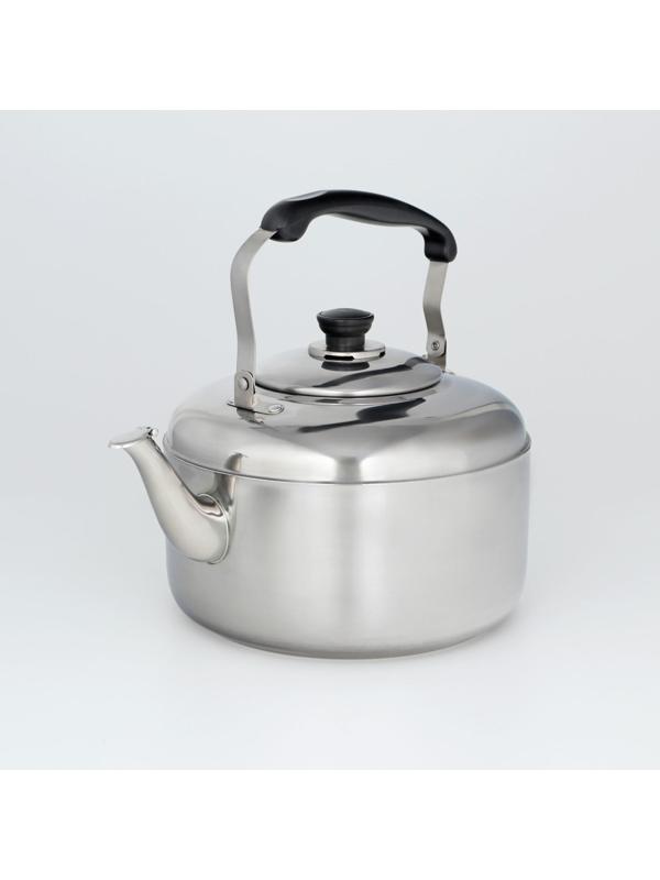 Чайник из нержавеющей стали, 6 л, цвет хромированный