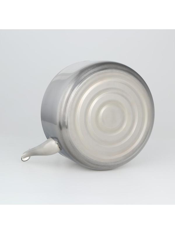 Чайник из нержавеющей стали, 6 л, цвет хромированный