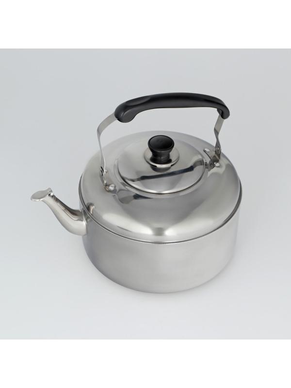 Чайник из нержавеющей стали, 6 л, цвет хромированный