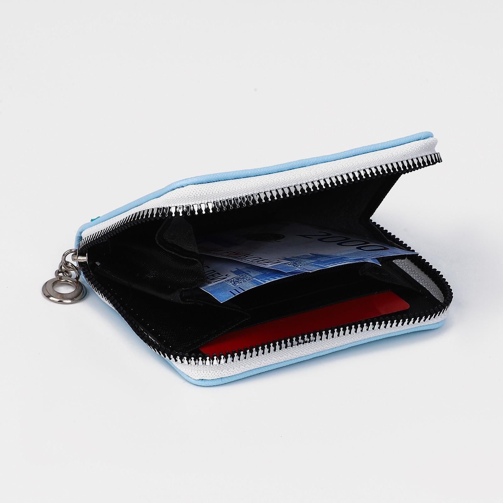 Кошелёк на молнии, отдел для карт, для монет, цвет голубой