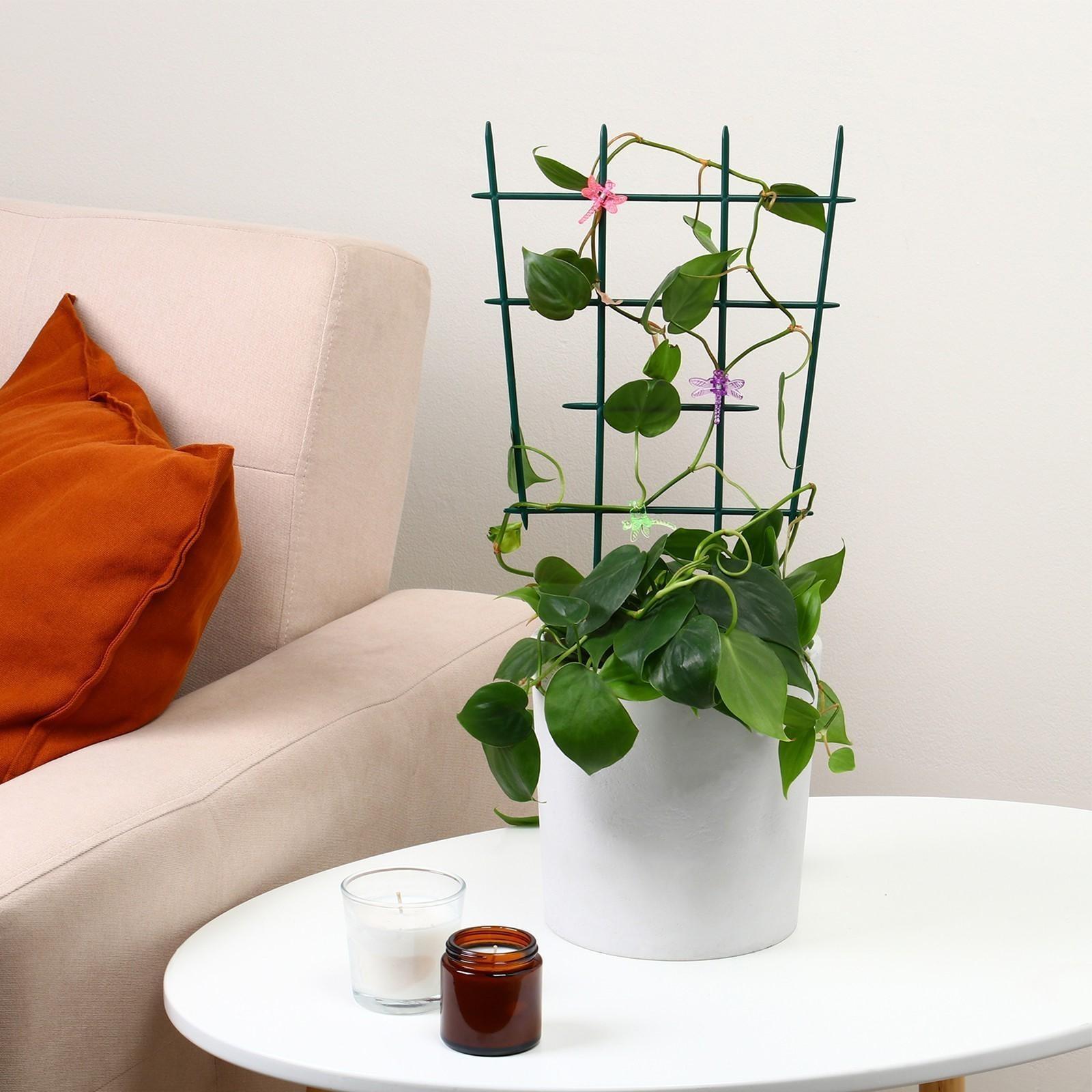 Шпалера, 48 × 29 × 0.2 см, пластик, зелёная, Greengo