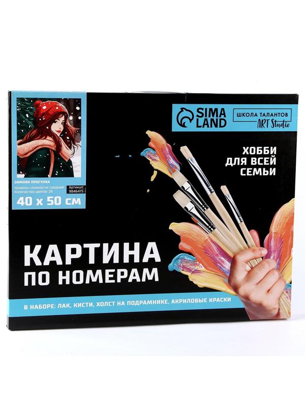 Картина по номерам на холсте с подрамником «Зимняя прогулка», 40 х 50 см