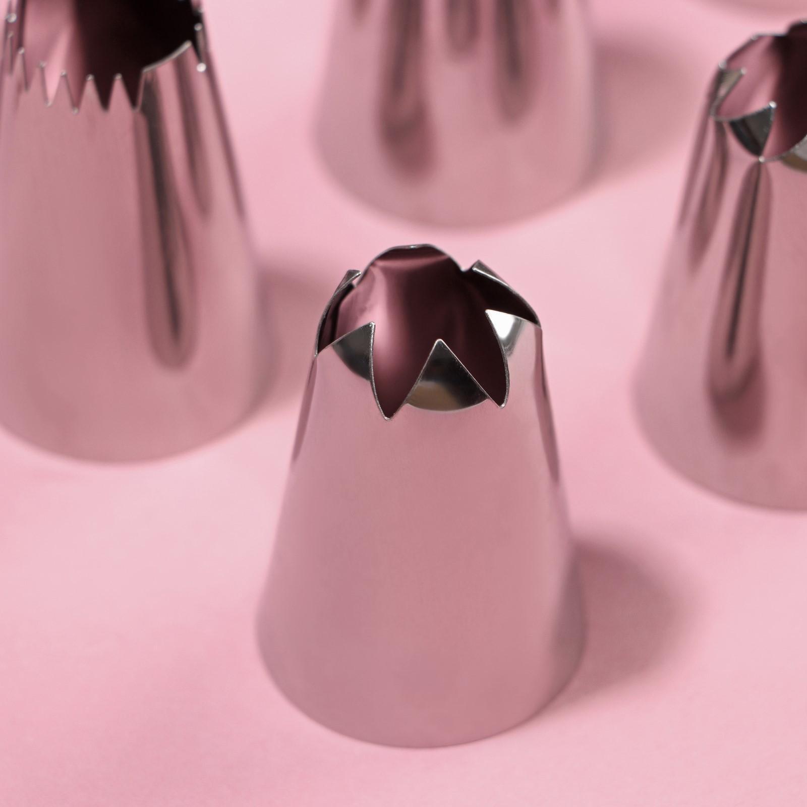 Набор насадок кондитерских Доляна, 12 шт, d=3 см