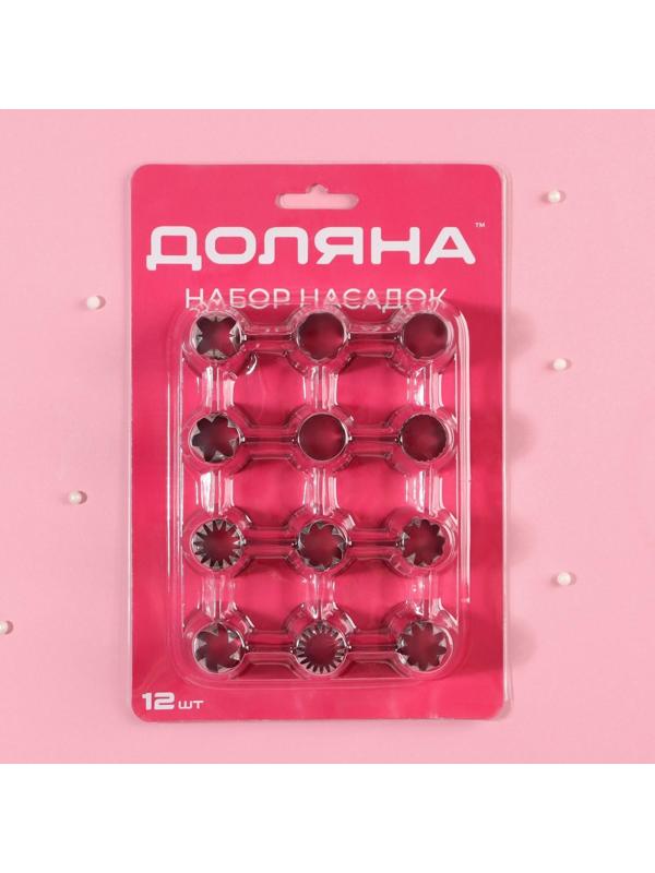 Набор насадок кондитерских Доляна, 12 шт, d=3 см