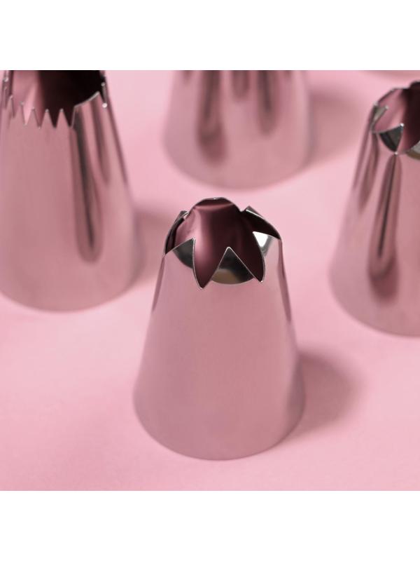 Набор насадок кондитерских Доляна, 12 шт, d=3 см