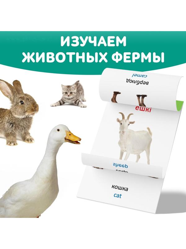 Книга по методике Г. Домана «Животные фермы», на казахском языке