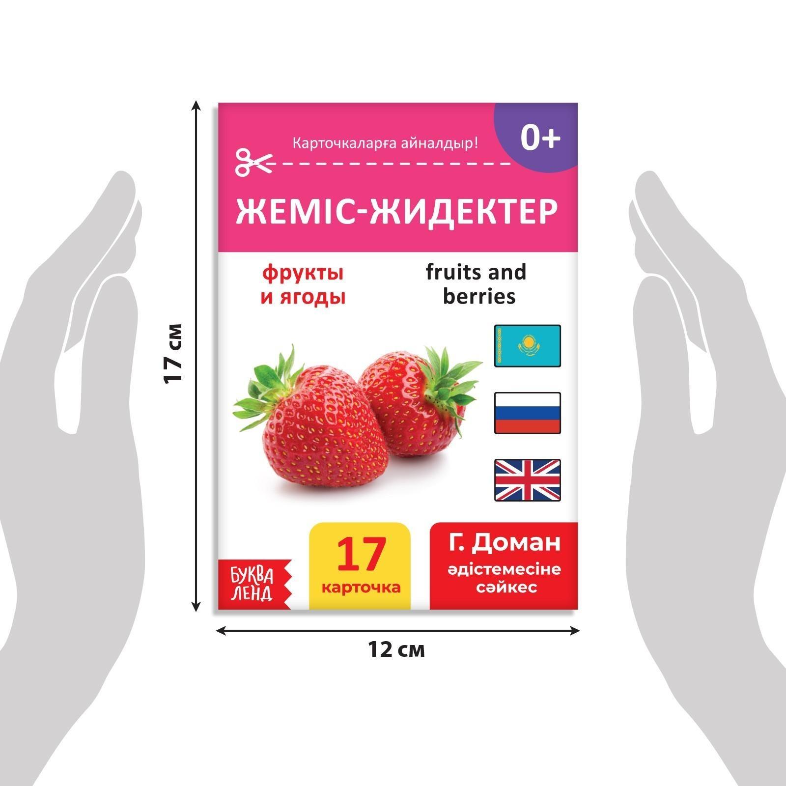 Книга по методике Г. Домана «Фрукты и ягоды», на казахском языке