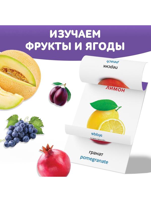 Книга по методике Г. Домана «Фрукты и ягоды», на казахском языке