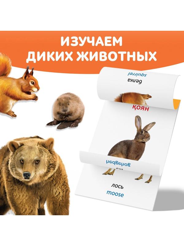 Книга по методике Г. Домана «Дикие животные», на казахском языке