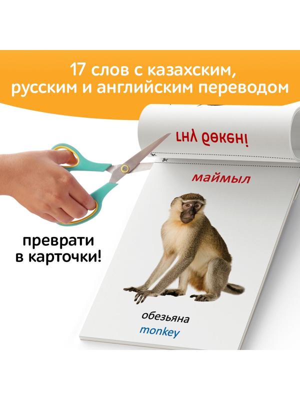 Книга по методике Г. Домана «Животные Африки», на казахском языке