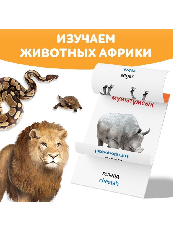 Книга по методике Г. Домана «Животные Африки», на казахском языке