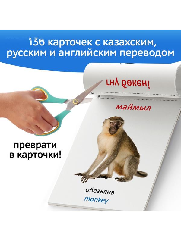 Набор книг по методике Г. Домана на казахском языке, 8 шт.