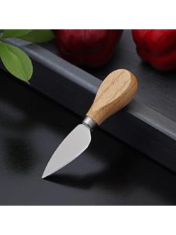 Нож для сыра Доляна «Ломоть», ручка из гевеи, 12,1×3 см