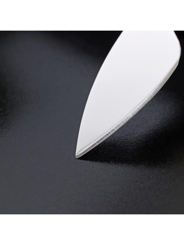 Нож для сыра Доляна «Ломоть», ручка из гевеи, 12,1×3 см