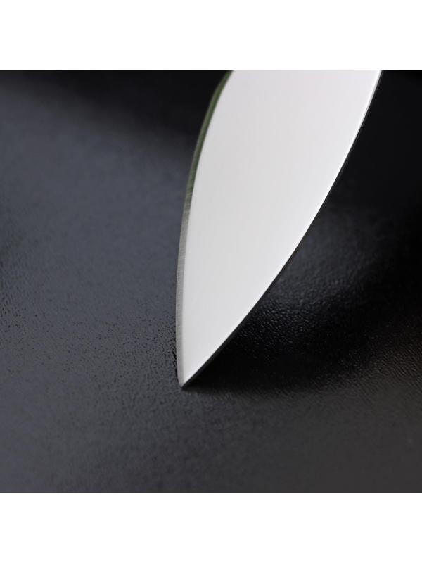 Нож для сыра Доляна «Ломоть», ручка из гевеи, 12,1×3 см