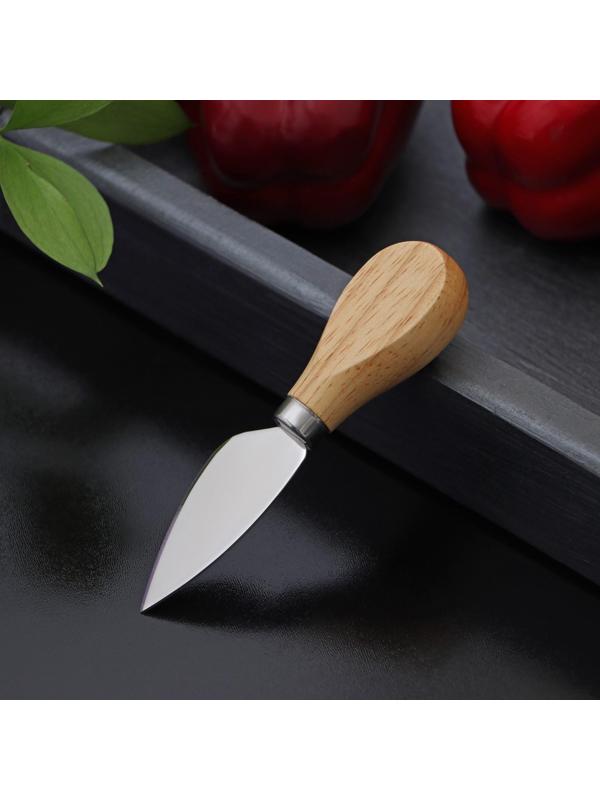 Нож для сыра Доляна «Ломоть», ручка из гевеи, 12,1×3 см