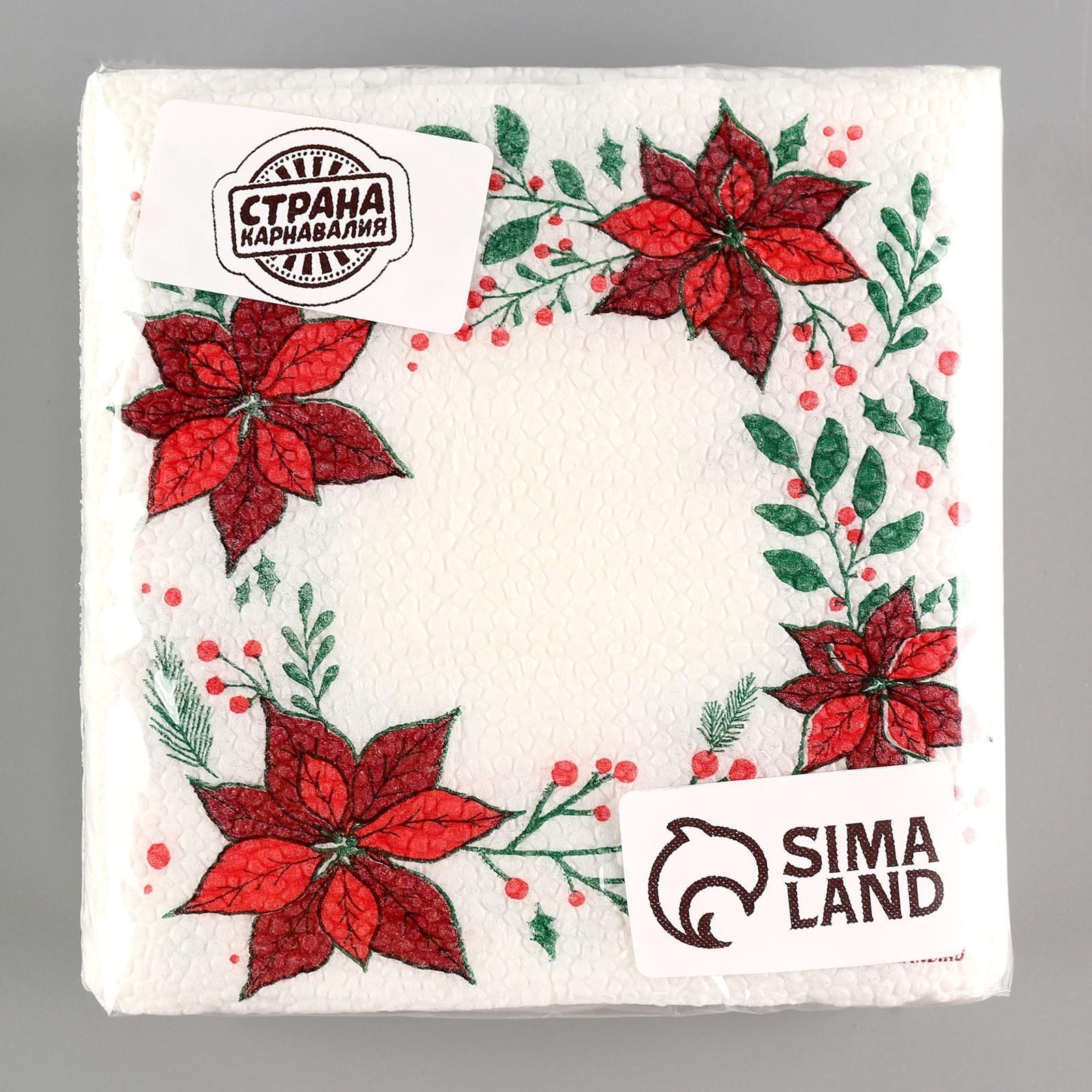 Салфетки бумажные «Новогодние узоры», однослойные, 24х24 см, набор 20 шт.