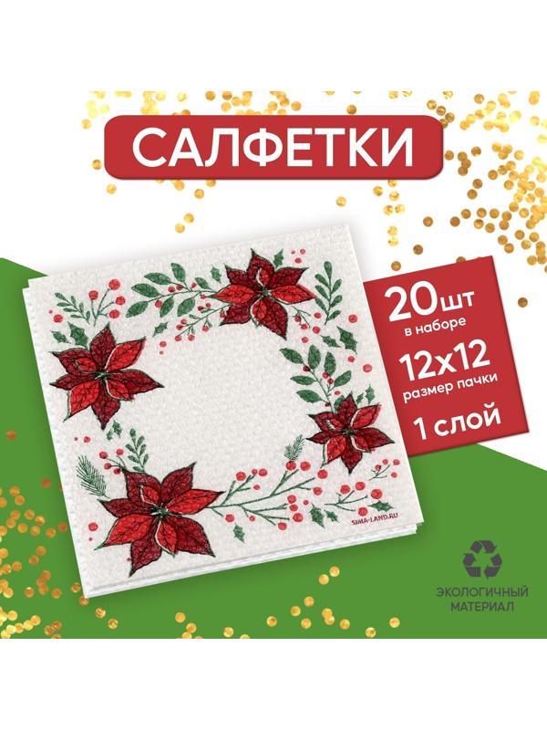Салфетки бумажные «Новогодние узоры», однослойные, 24х24 см, набор 20 шт.