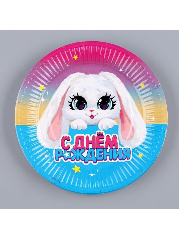 Набор бумажной посуды «Зайка»: 6 тарелок, 1 гирлянда, 6 стаканов