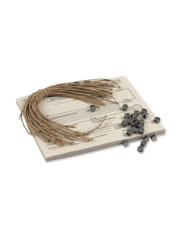 Набор инкассаторский на 1 мес. пломбы, шнуры, ведомости