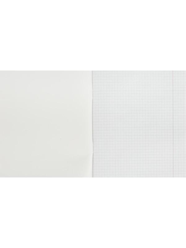 Тетрадь общая 48л,клет,А5,скреп,обл.бумвин,блок офс,в асс